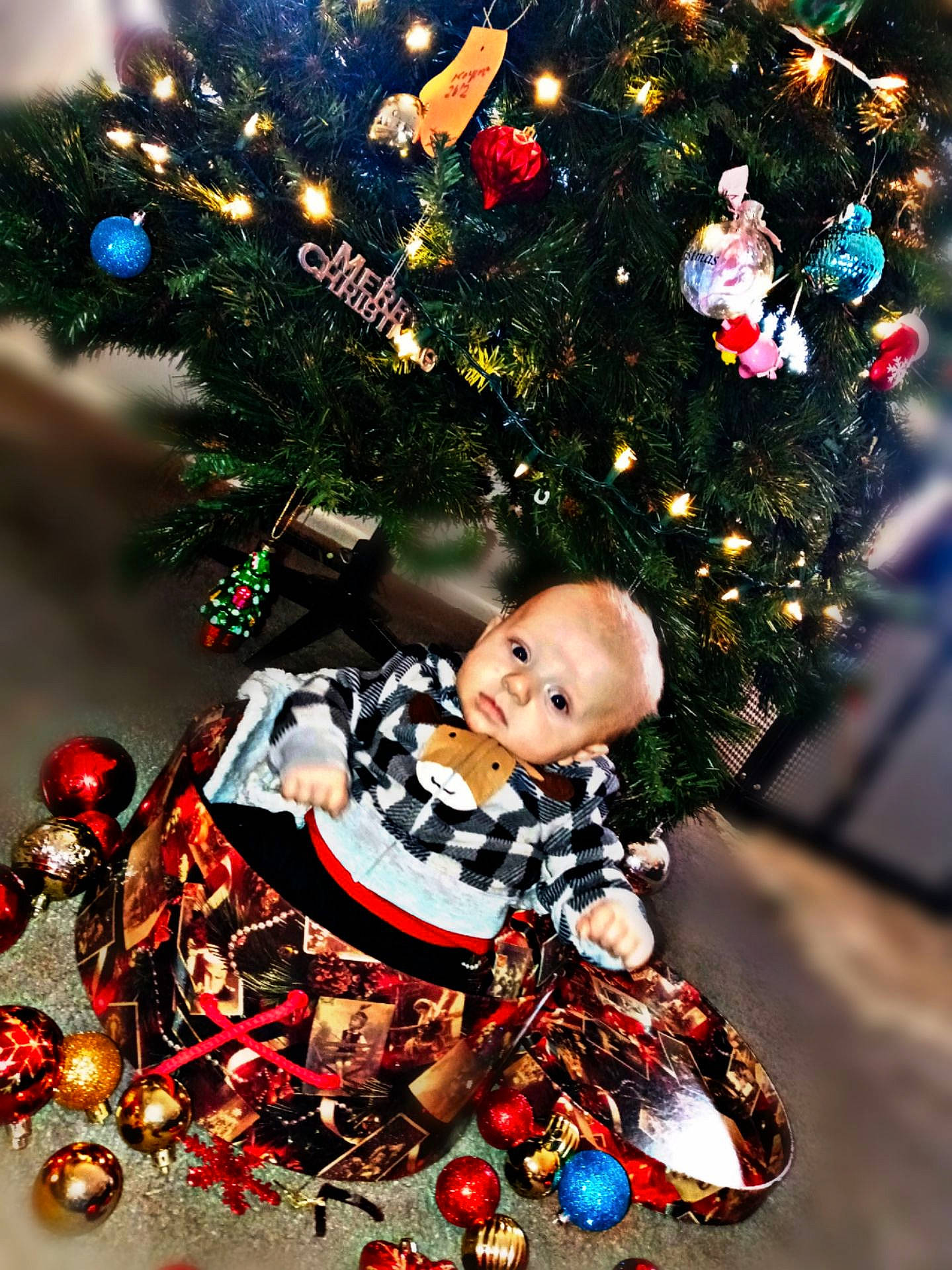 Jacoby joined the competition — help win amazing prizes! baby, christmas, christmas_decoration, christmas_eve, christmas_ornament, christmas_tree, conifer, event, evergreen, happy, holiday, holiday_ornament, interior_design, light, ornament, person, plant, toddler, tradition, tree