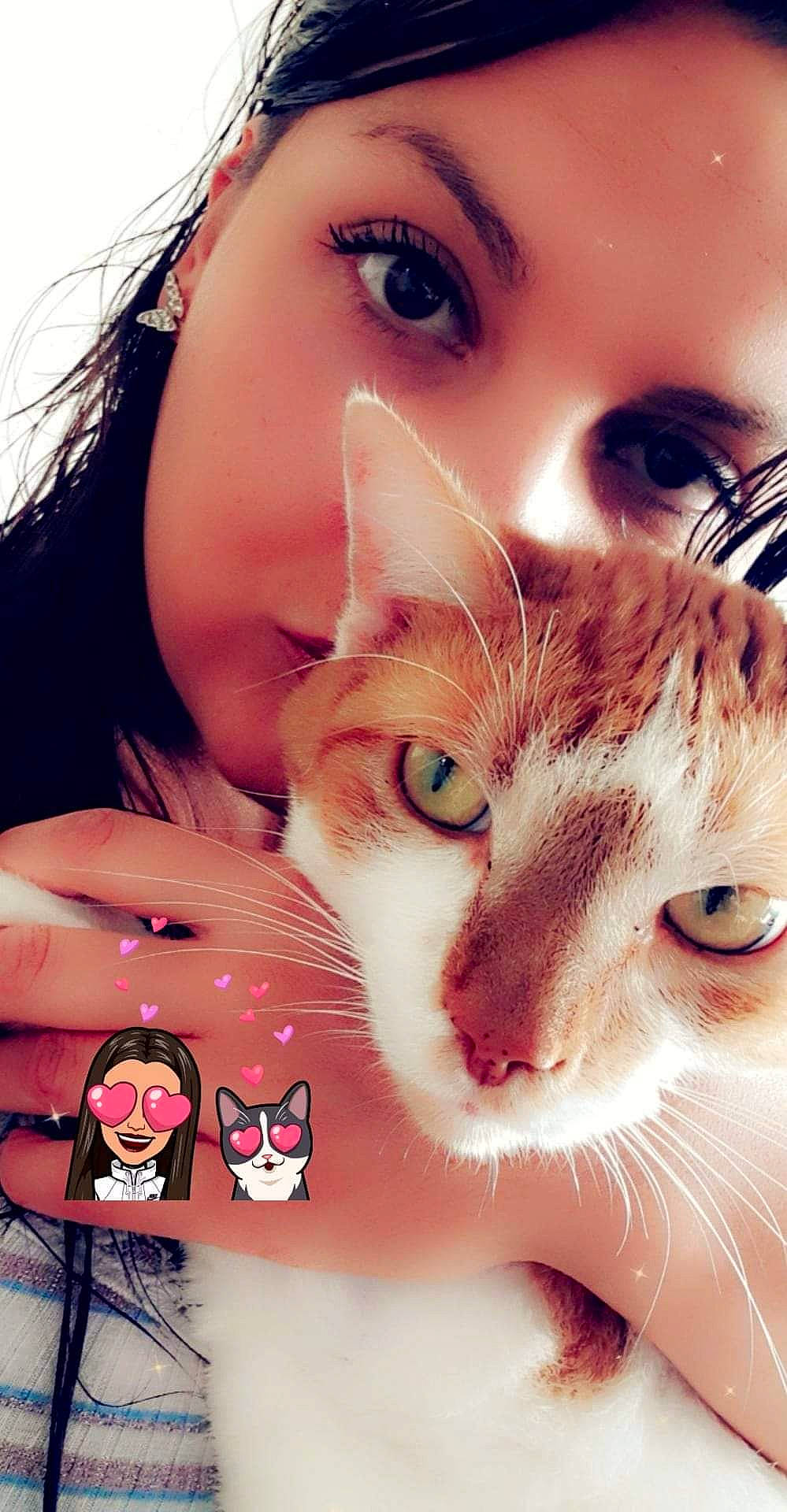 Carambar participe au concours pour gagner de l'argent avec cette photo : beauty, carnivore, cat, cheek, close_up, ear, eye, eyebrow, eyelash, felidae, fur, kitten, lip, mouth, nose, organ, photography, small_to_medium_sized_cats, snout, whiskers