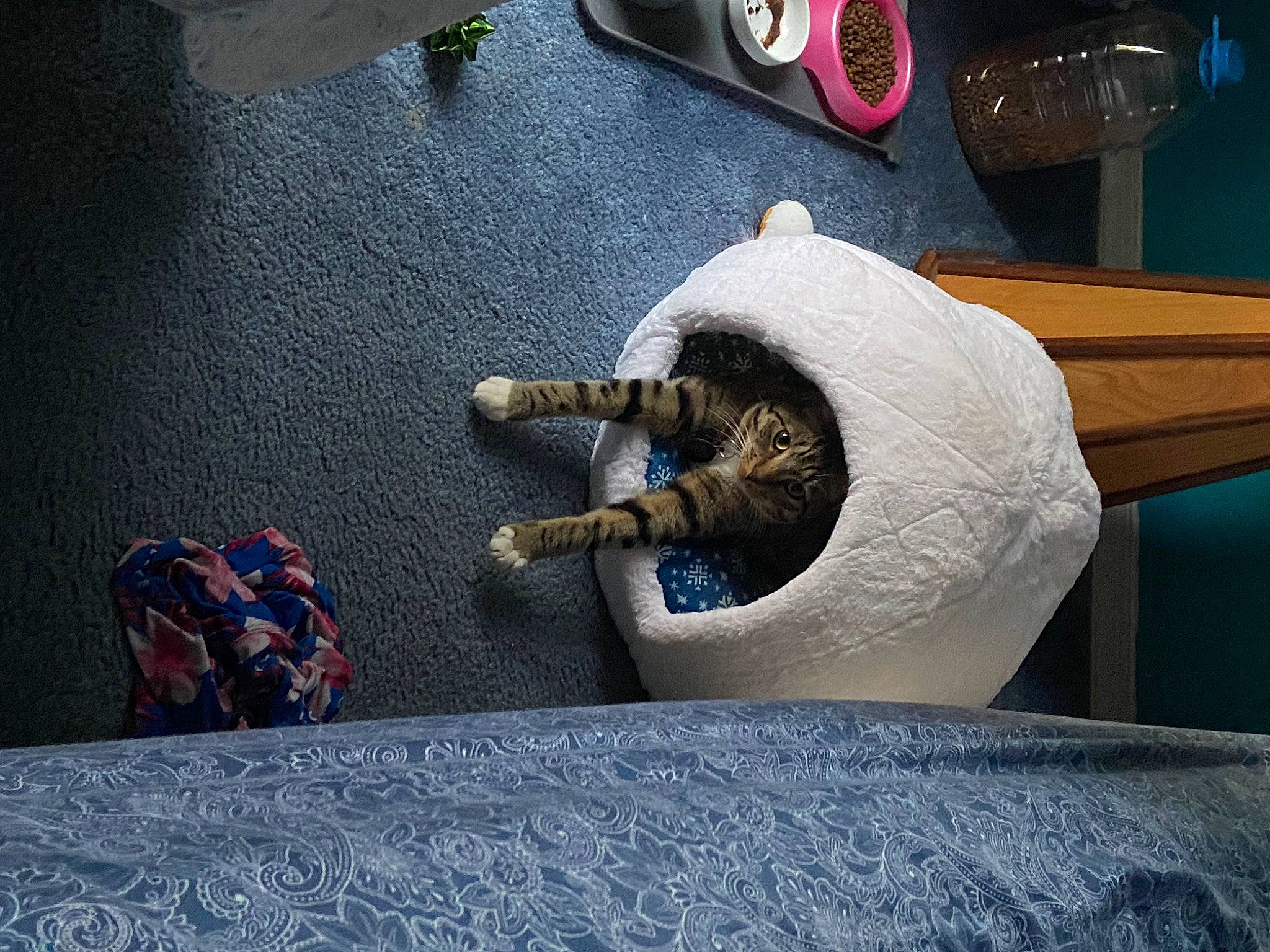 Genie is registered to the contest to win money with this photo: art, artifact, carmine, concrete, flooring, human_leg, leisure, musical_instrument, recreation, rock, room, sculpture, tableware, visual_arts, water_feature, wood