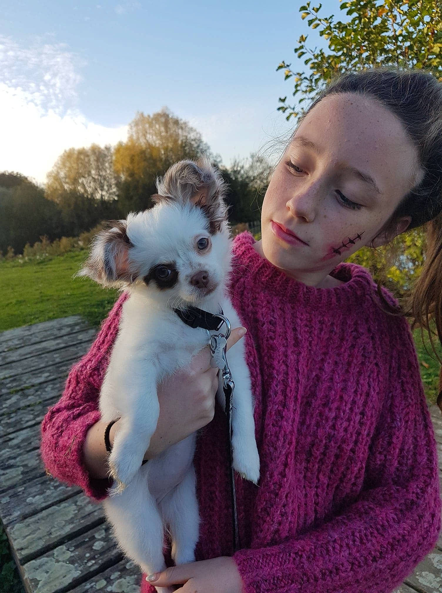 Ohana participe au concours pour gagner de l'argent avec cette photo : companion_dog, dog, dog_breed, dog_breed_group, dog_like_mammal, fun, fur, girl, mammal, person, puppy, skin, vertebrate