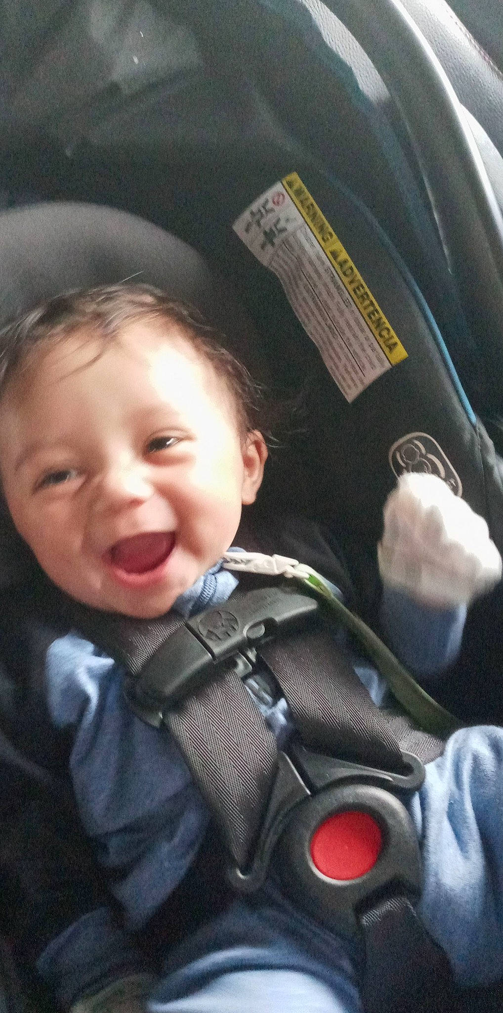 Caden joined the competition — help win amazing prizes! auto_part, baby, baby_carriage, baby_in_car_seat, baby_products, car_seat, cheek, child, comfort, eye, flash_photography, happy, motor_vehicle, nose, person, plant, seat_belt, smile, toddler, tree