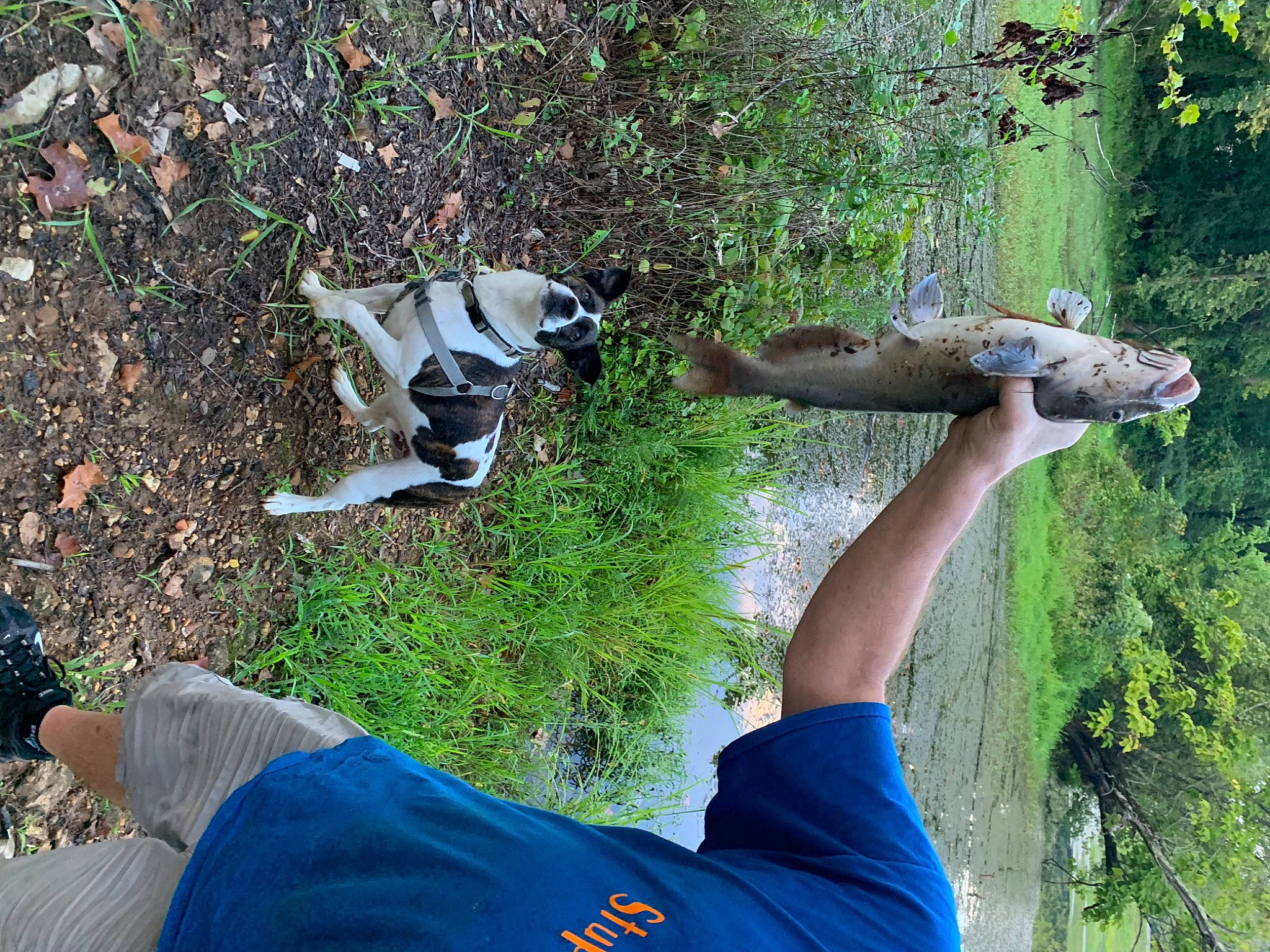 Rylie joined the competition — help win amazing prizes! boot, electric_blue, foot, fun, garden, grass, human_leg, landscape, leisure, outdoor_shoe, people_in_nature, plant, recreation, shoe, shrub, sneakers, soil, tree, walking_shoe, woody_plant