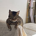 Gwendoline T.