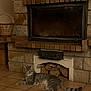 Jules participe au concours pour gagner de l'argent avec cette photo : cat, tabby, fireplace, stone, brick, tile_floor, wicker_basket, indoor, pet, relaxed, resting, home, cozy, animal, feline, striped, floor, living_room, domestic_cat, quiet