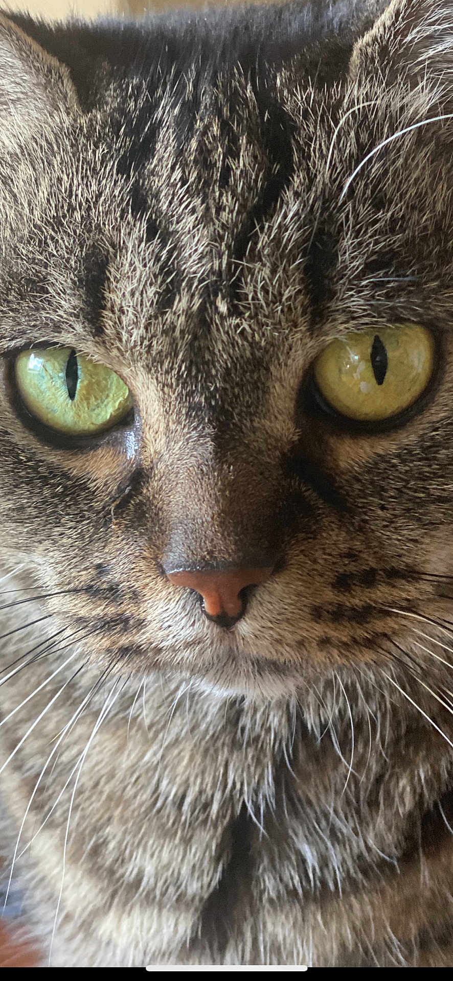 Mimie