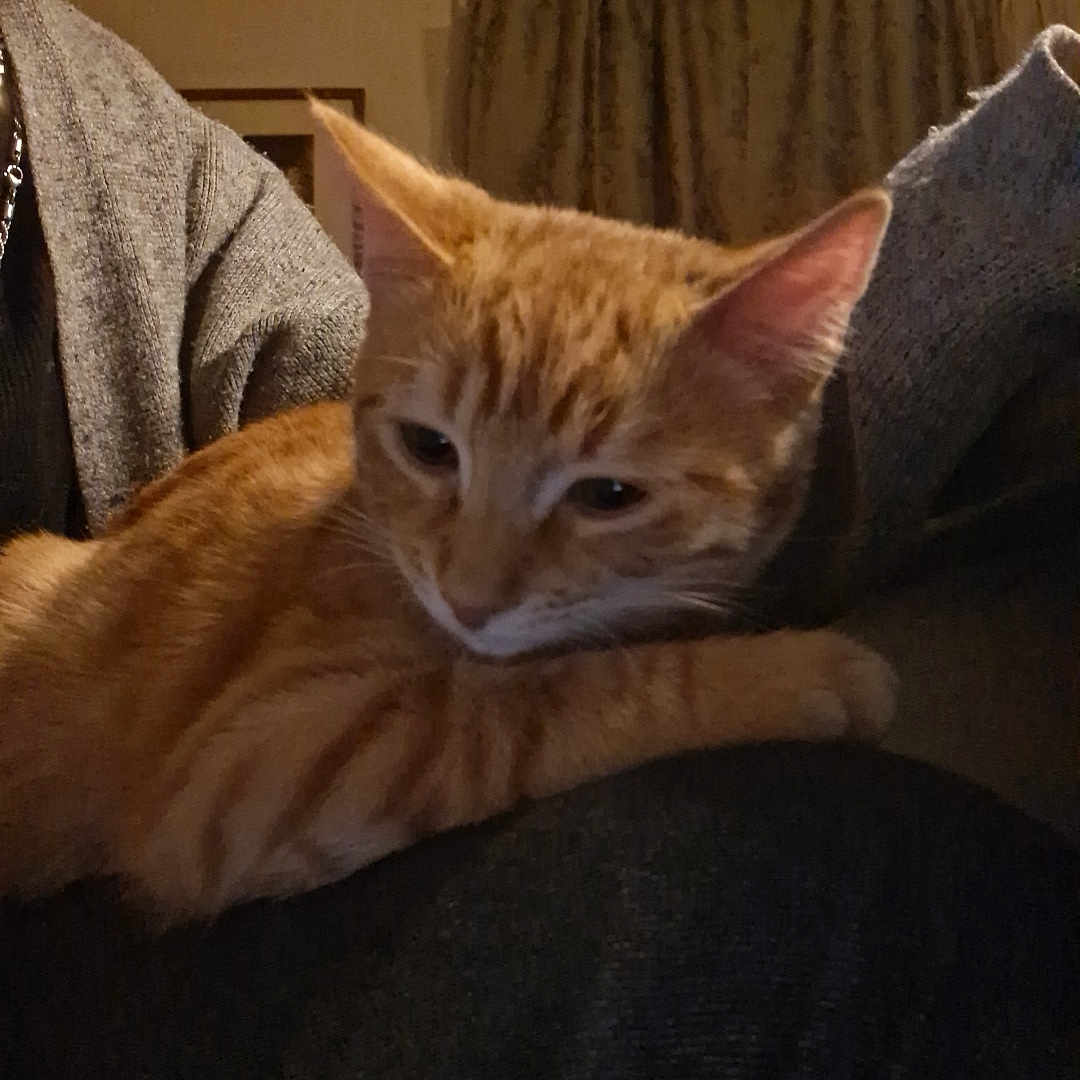 Skeeter
