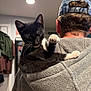 abyssinian, adult, animal, baseballcap, blanket, cap, cat, clothing, face, hat, head, hoodie, kitten, knitwear, male, man, person, pet, sweater, sweatshirt