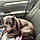 Tallulah
