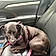 Tallulah