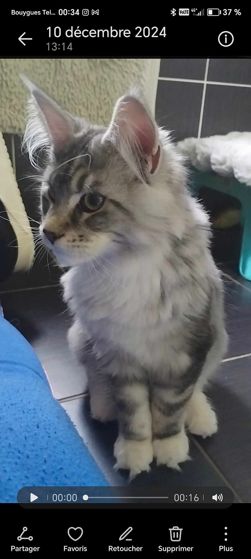 Viktor