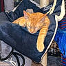 cat, orange_tabby, sleeping, cat_tree, hammock, indoor, pet, rope, plush, cozy, paw, feline, relaxed, resting, cushion, animal, fur, home, comfort, nap
