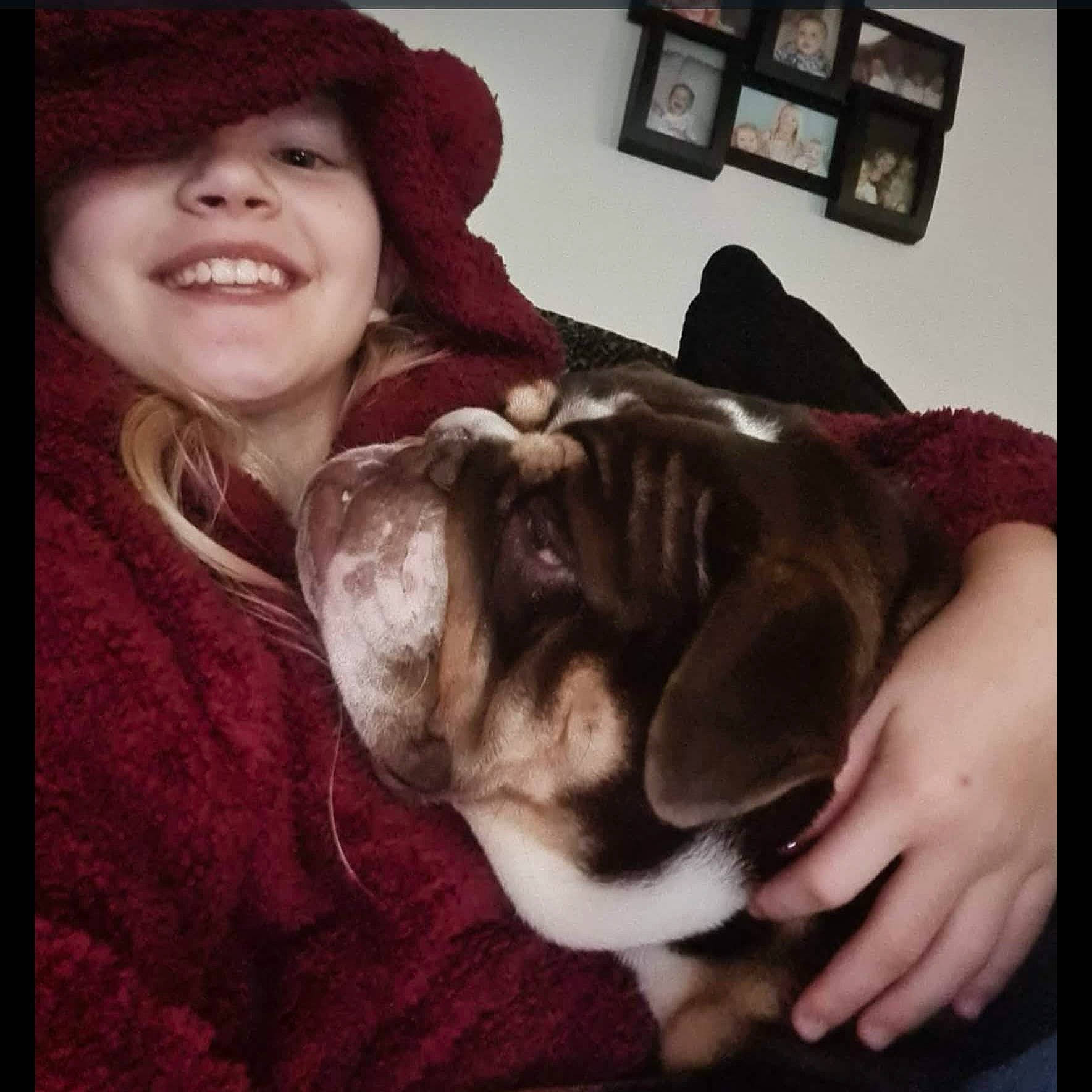 Maze is registered to the contest to win money with this photo: boston_terrier, cap, carnivore, comfort, companion_dog, dog, dog_breed, ear, fawn, fur, happy, picture_frame, puppy_love, selfie, smile, snout, sporting_group, toy_dog, whiskers, working_animal