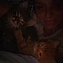 Lila is registered to the contest to win money with this photo: animal, bed, blanket, cat, close_up, comfort, cozy, cuddle, dark, face, indoor, kitten, low_light, orange_cat, person, pet, portrait, rest, sleepwear, tabby_cat