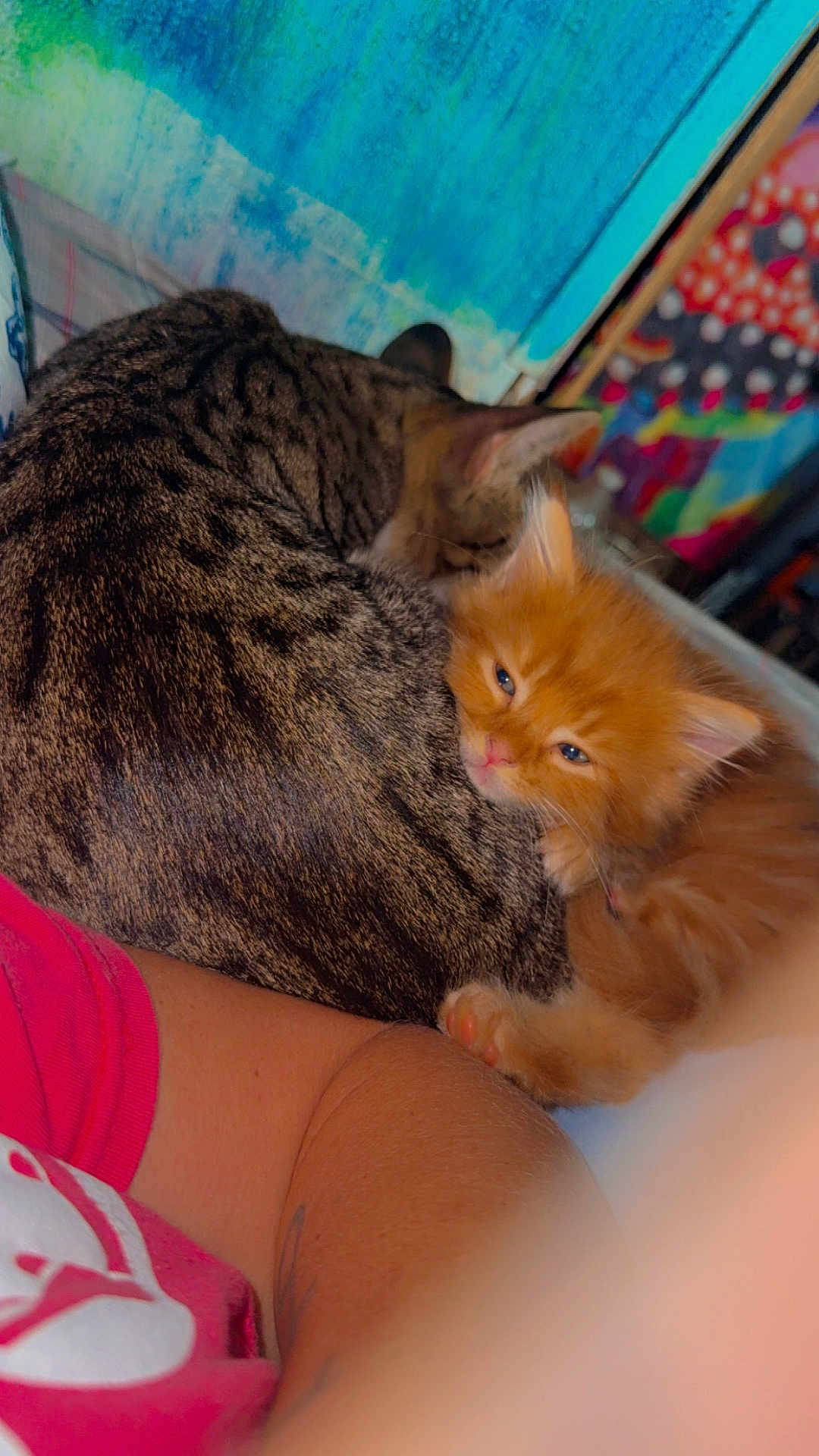 Nila