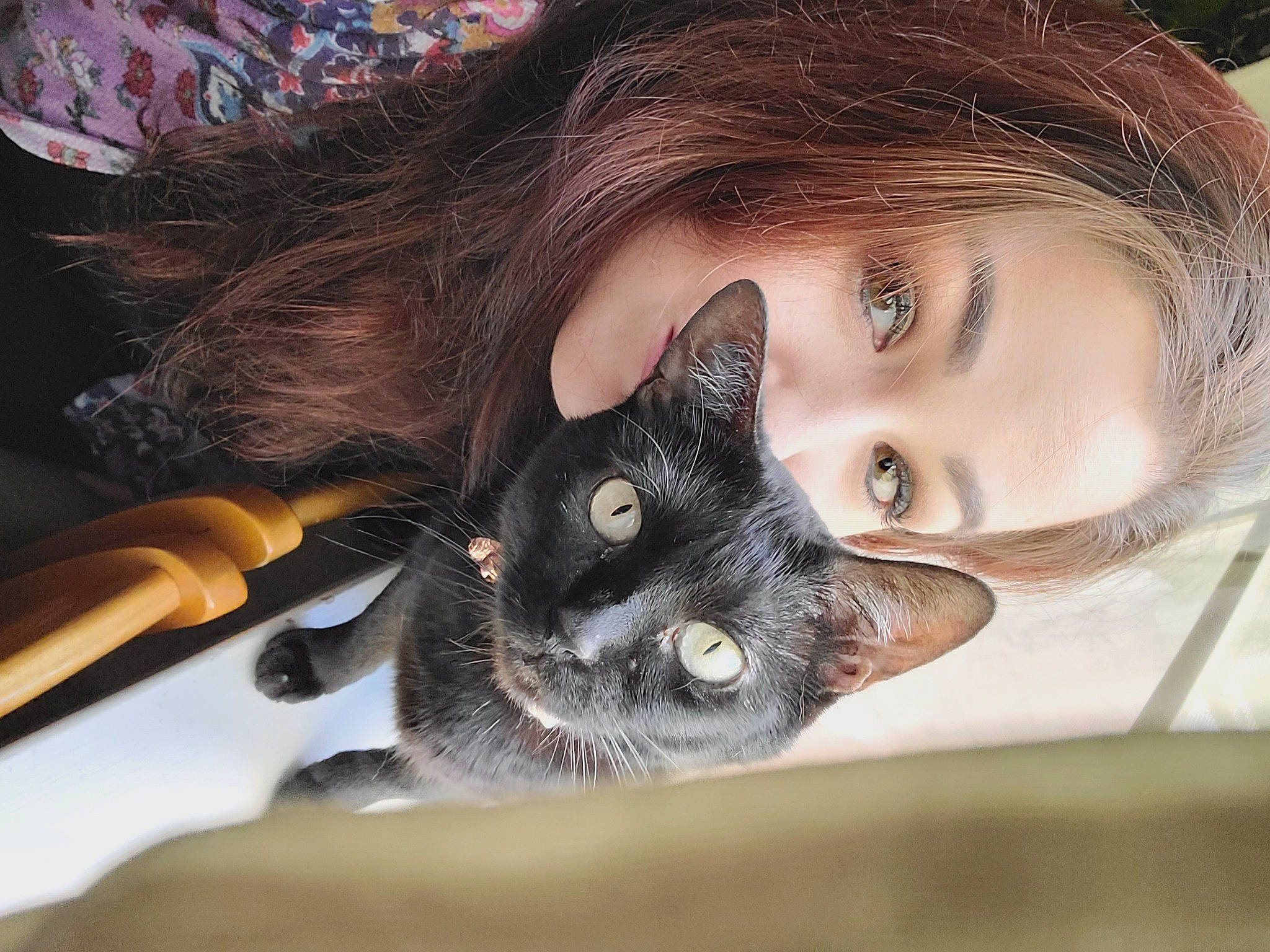 Batty joined the competition — help win amazing prizes! beard, carnivore, cat, comfort, ear, eye, eyelash, fawn, felidae, hand, head, iris, jaw, nose, skin, small_to_medium_sized_cats, smile, tree, whiskers, wood