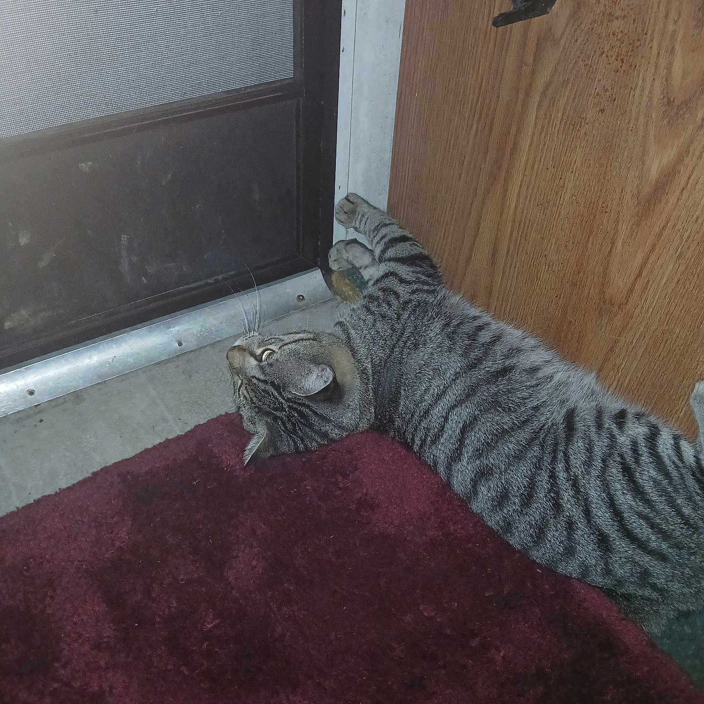 Tigger