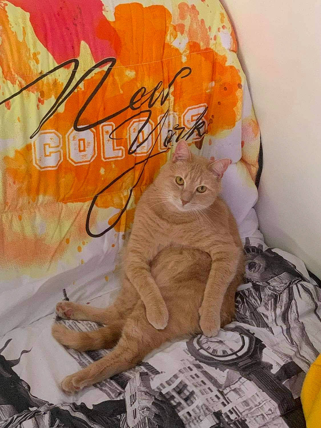 Nash participe au concours pour gagner de l'argent avec cette photo : art, big_cats, carnivore, cat, fawn, felidae, font, illustration, orange, organism, paint, painting, pattern, poster, small_to_medium_sized_cats, terrestrial_animal, textile, visual_arts, watercolor_paint, whiskers