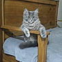 cat, gray_cat, fluffy, feline, pet, indoor, wooden_bed, bed, blanket, relaxed, resting, animal, cute, fur, paw, armrest, furniture, domestic, cozy, sleepy
