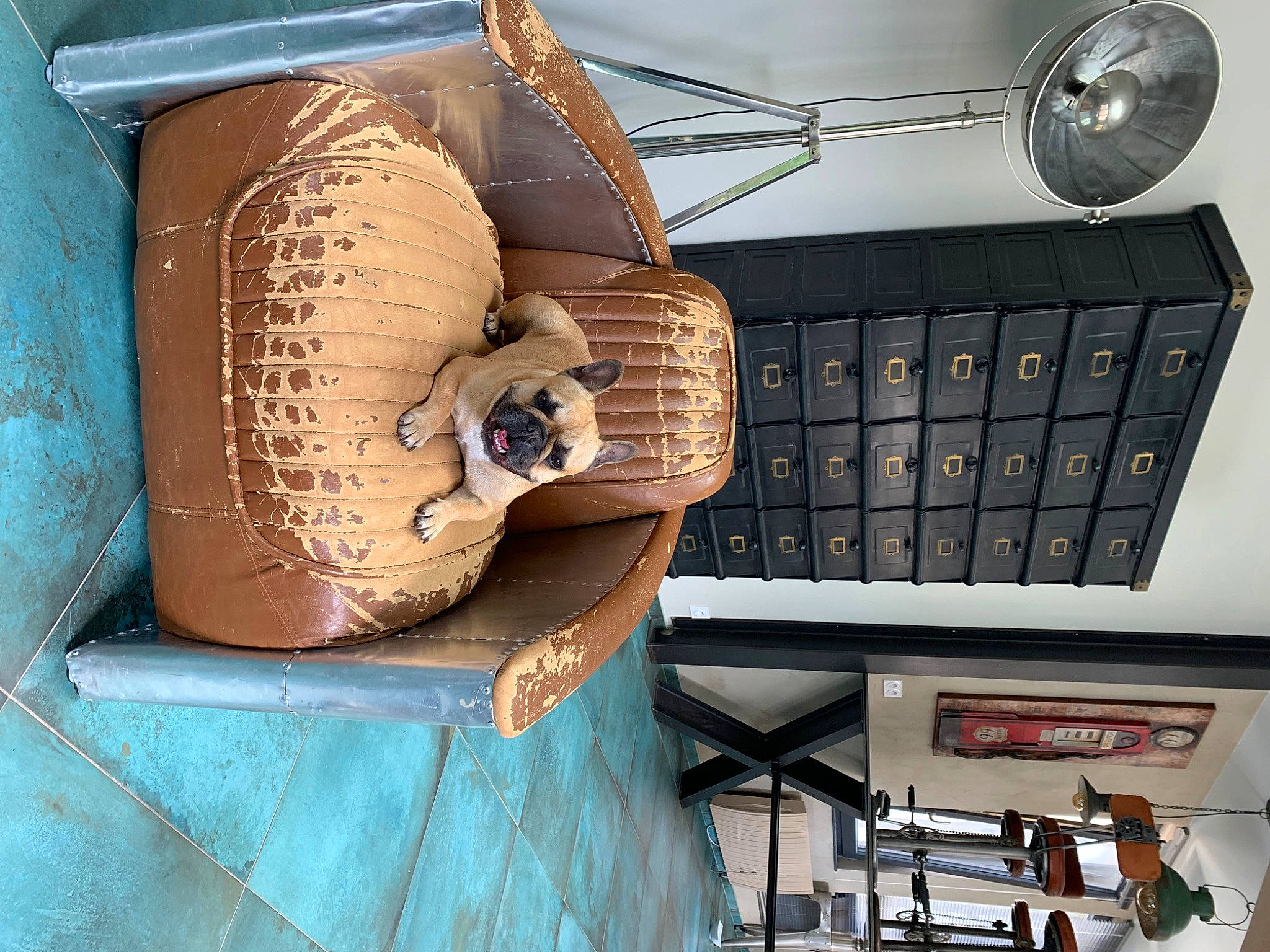 Nahia a rejoint le concours — aidez-le/la à gagner de superbes lots ! art, audio_equipment, automotive_design, bag, baseball_glove, desk, drawer, elbow, eyewear, fashion_accessory, font, gas, glove, helmet, machine, metal, office_equipment, personal_protective_equipment, shelf, wood