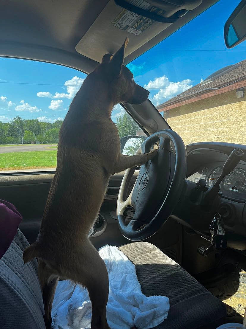 Jack is registered to the contest to win money with this photo: auto_part, automotive_design, automotive_exterior, automotive_mirror, automotive_wheel_system, car, cloud, head_restraint, mode_of_transport, motor_vehicle, personal_luxury_car, plant, rear_view_mirror, sky, steering_part, steering_wheel, vehicle, vehicle_door, window, windshield