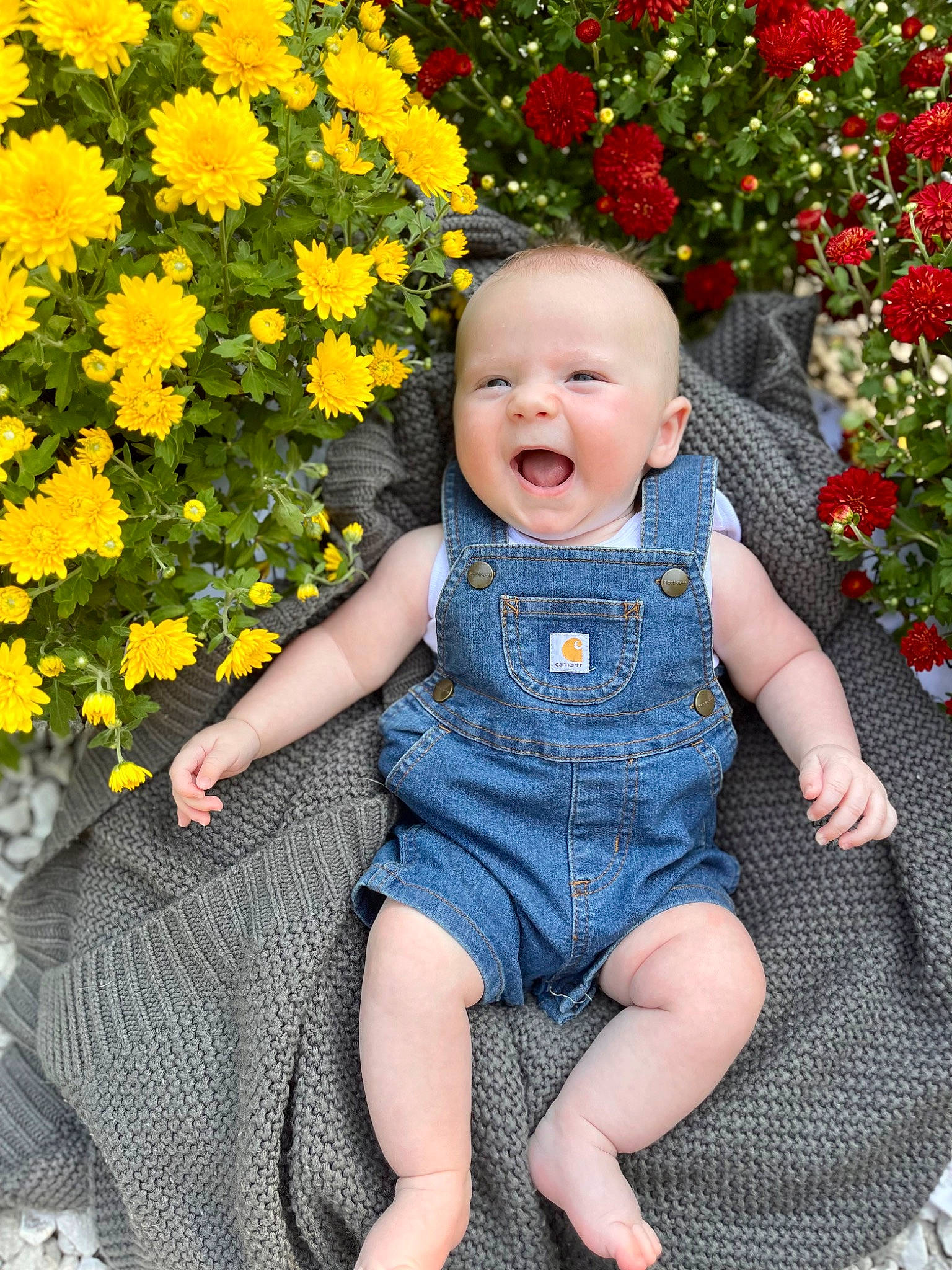 Mack joined the competition — help win amazing prizes! baby, baby_toddler_clothing, child, dress, electric_blue, eye, facial_expression, flower, grass, happy, leaf, pattern, people_in_nature, person, petal, plant, skin, sleeve, smile, toddler