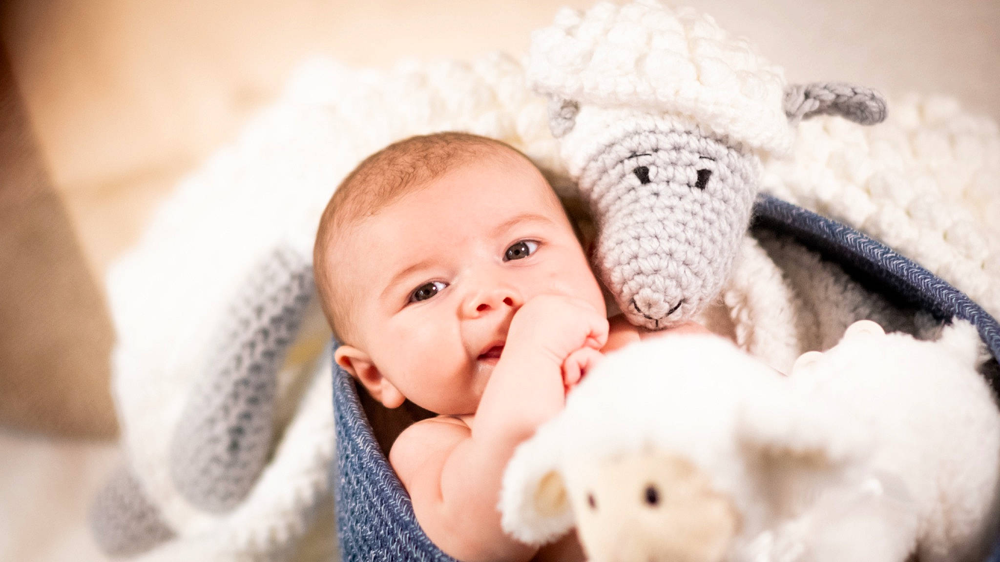 Theo is registered to the contest to win money with this photo: baby, baby_sleeping, cheek, child, close_up, comfort, ear, eyelash, finger, fur, gesture, happy, head, knit_cap, nose, person, product, skin, toddler, toy