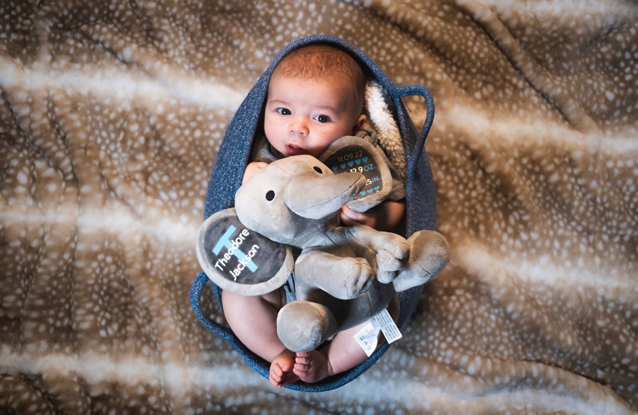 Theo is registered to the contest to win money with this photo: baby, baby_products, baby_toddler_clothing, child, comfort, doll, fashion_accessory, fawn, fur, happy, linens, nail, pattern, person, plush, sitting, stuffed_toy, toddler, toy, wood