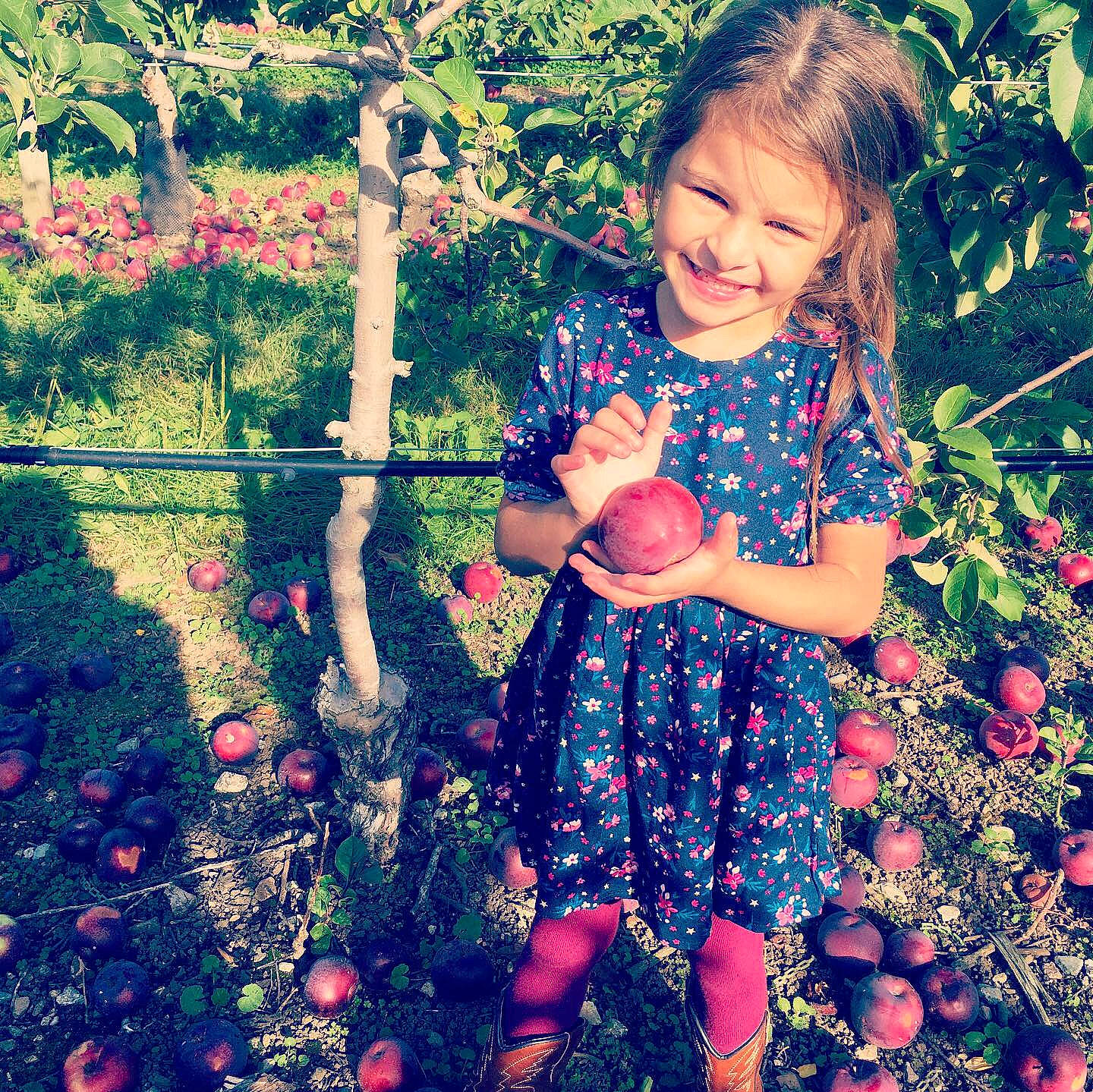 Aleena joined the competition — help win amazing prizes! child, child_model, cool, dress, facial_expression, flower, fruit, happy, joy, laugh, leaf, person, plant, play, smile, spring, toddler, tree