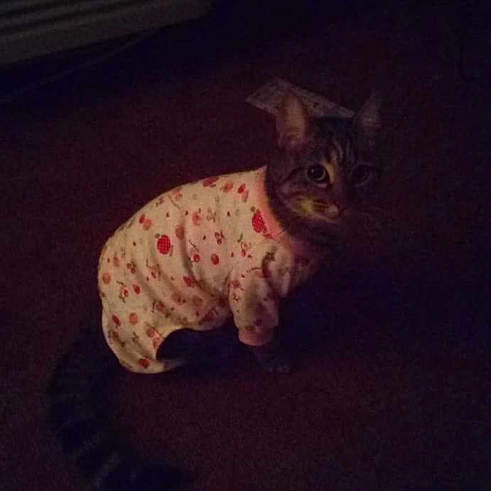 Nixy