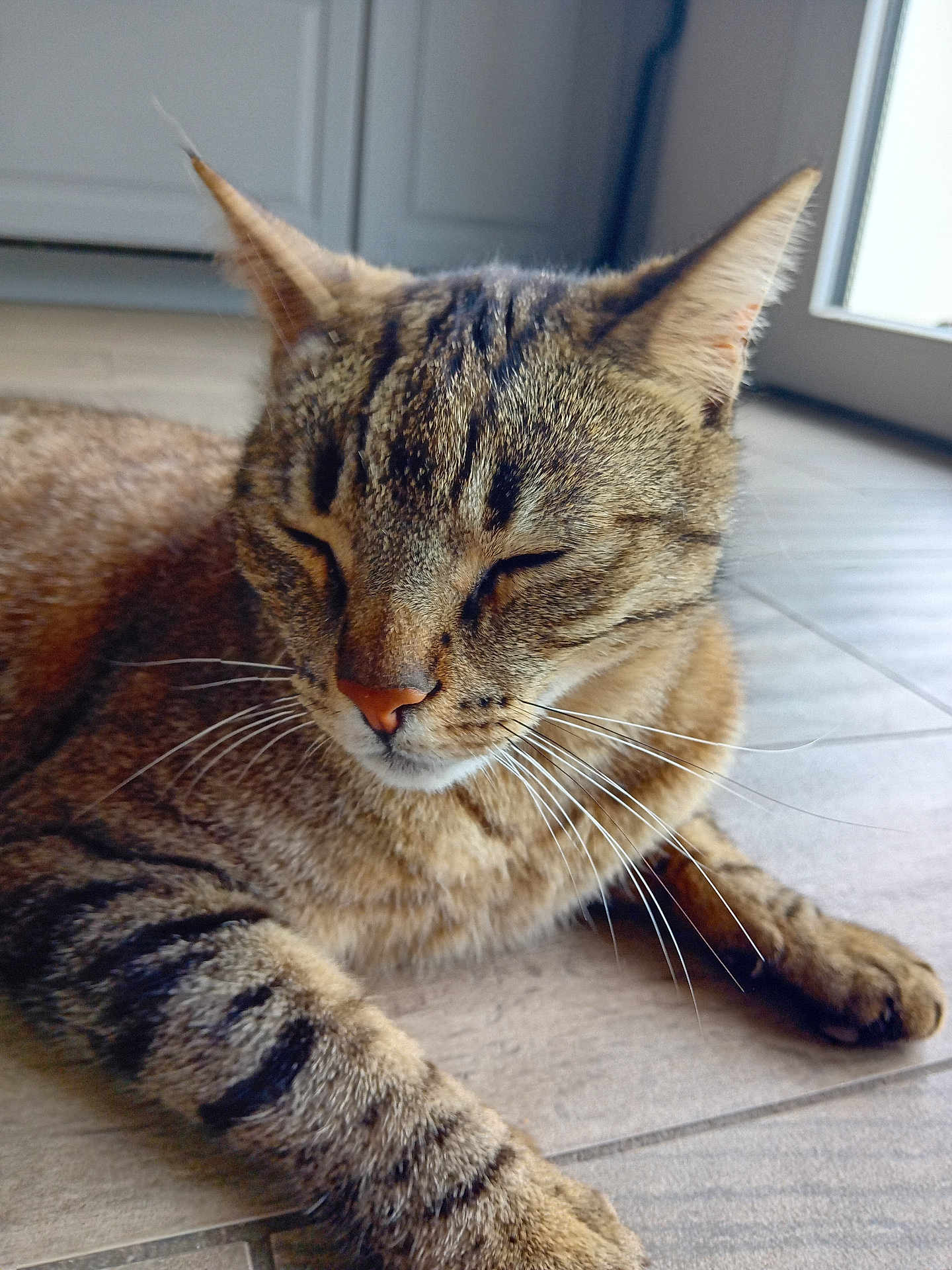Chouchou