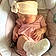 Taylen
