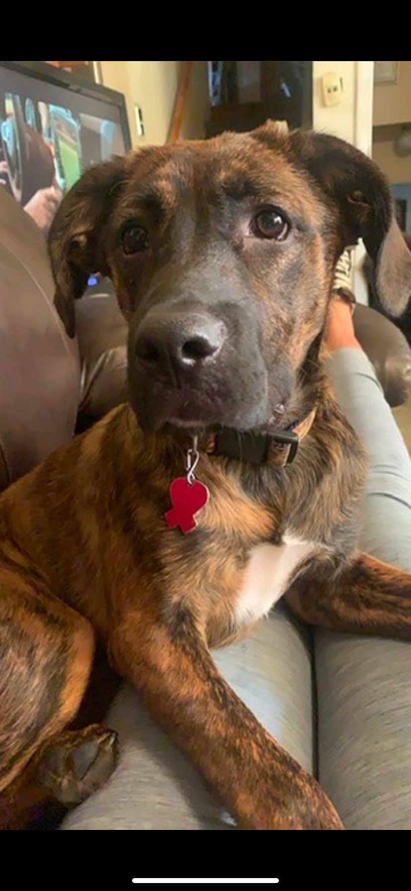 Roxy