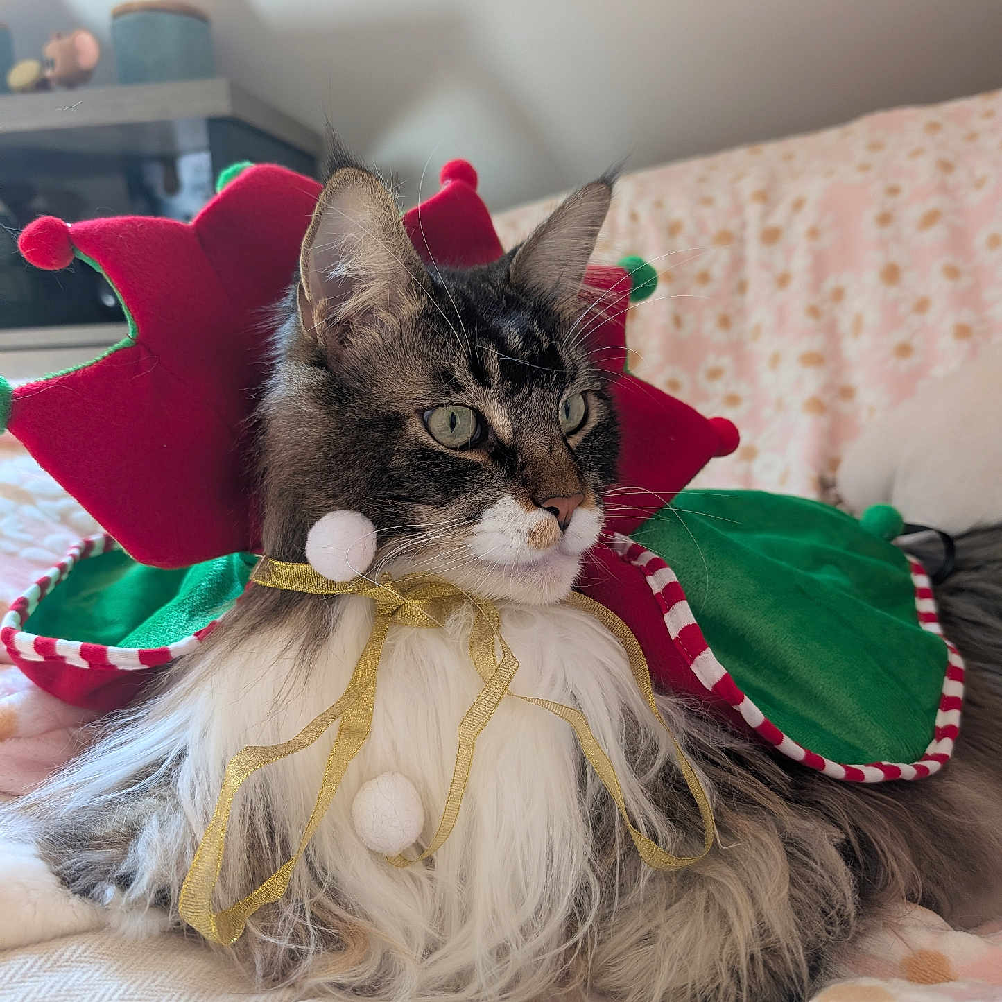 Loki