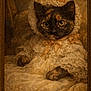 cat, kitten, portrait, vintage, painting, oil_painting, lace_bonnet, ruffled_dress, ribbon, paws, fur, green_eyes, whiskers, ornate_frame, sepia_tone, fabric, jewelry, victorian_style, indoor, posed