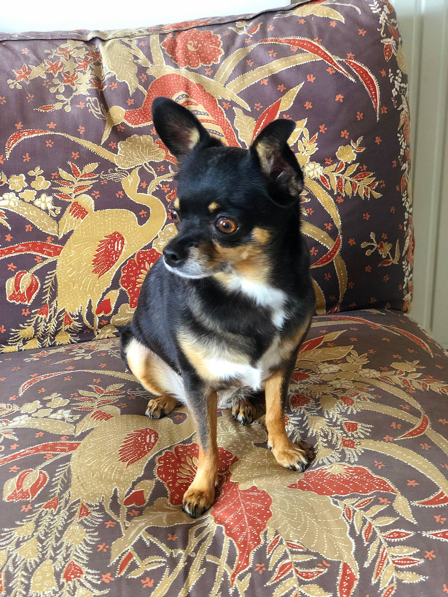 Tina