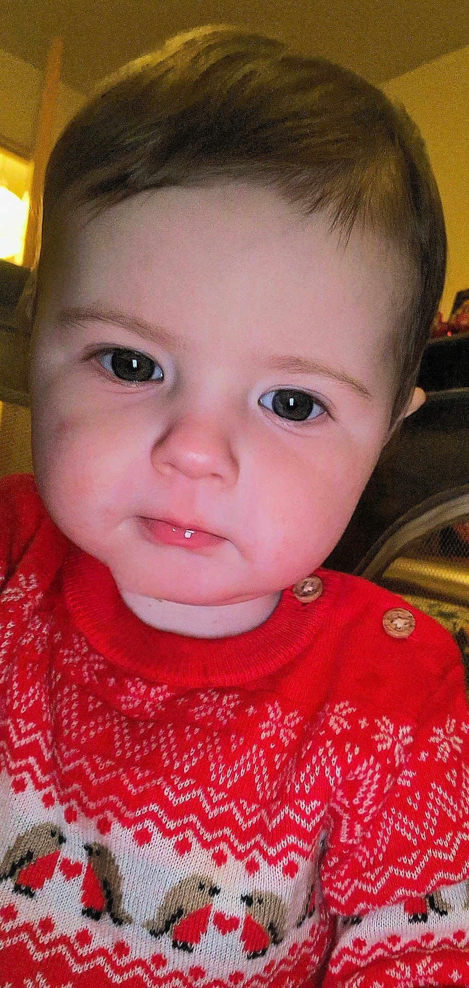 Lorenzo is registered to the contest to win money with this photo: baby, child, face, close_up, sweater, red_clothing, patterned_clothing, bird_pattern, indoor, portrait, cute, young_child, eyebrows, skin, head, person, infant, buttoned_clothing, expression, holiday