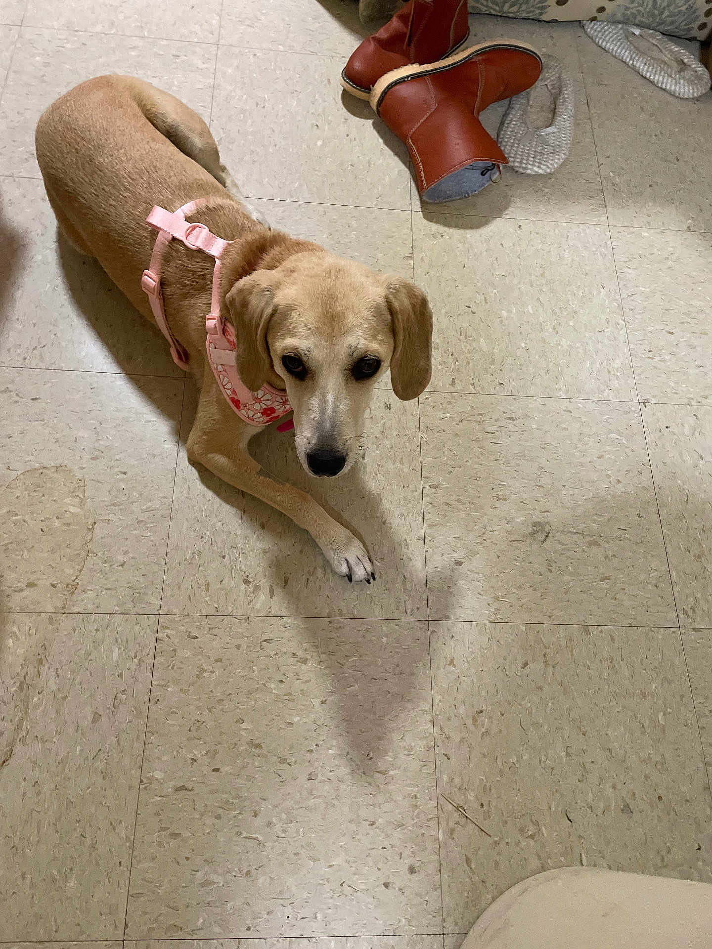 Daisy Mae Smith