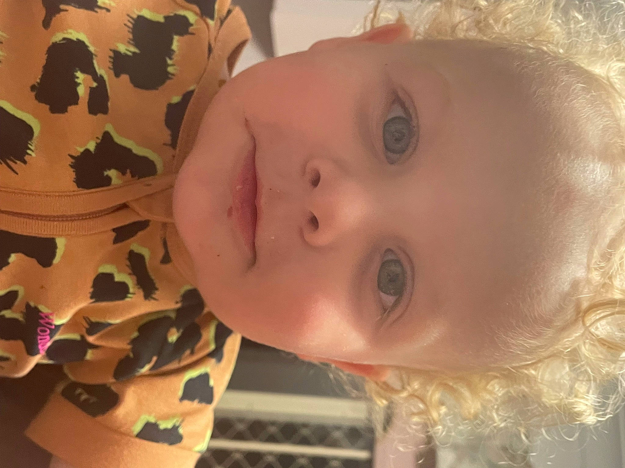 Brantley joined the competition — help win amazing prizes! cheek, chin, ear, eye, eyebrow, eyelash, face, facial_expression, forehead, hair, hairstyle, head, lip, mouth, neck, nose, organ, person, plant, skin