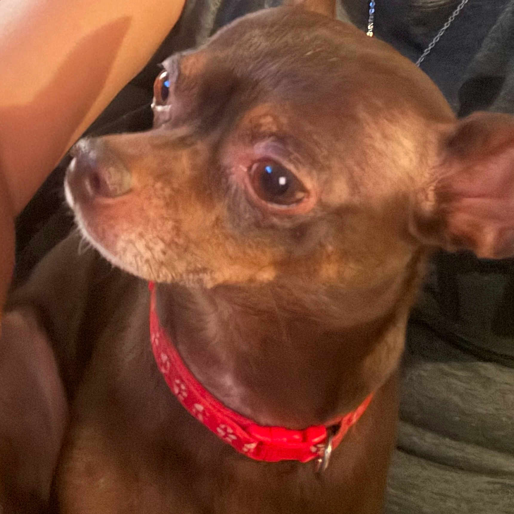 Milo