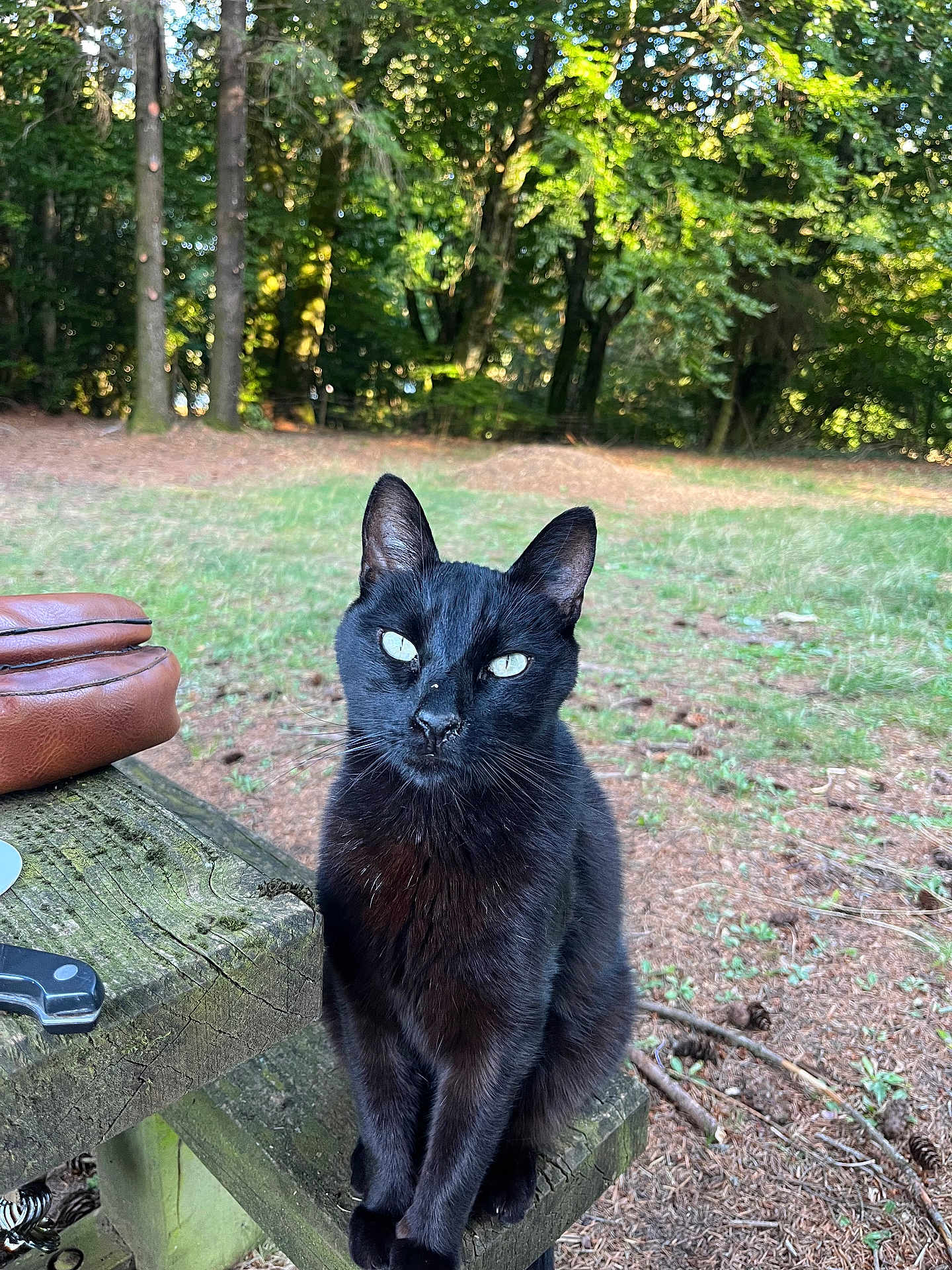 Bijou