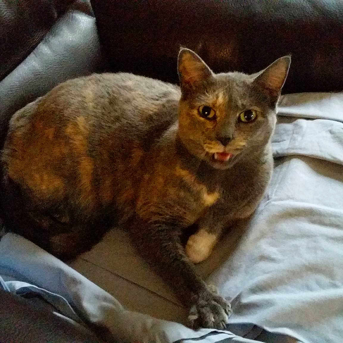Stormy