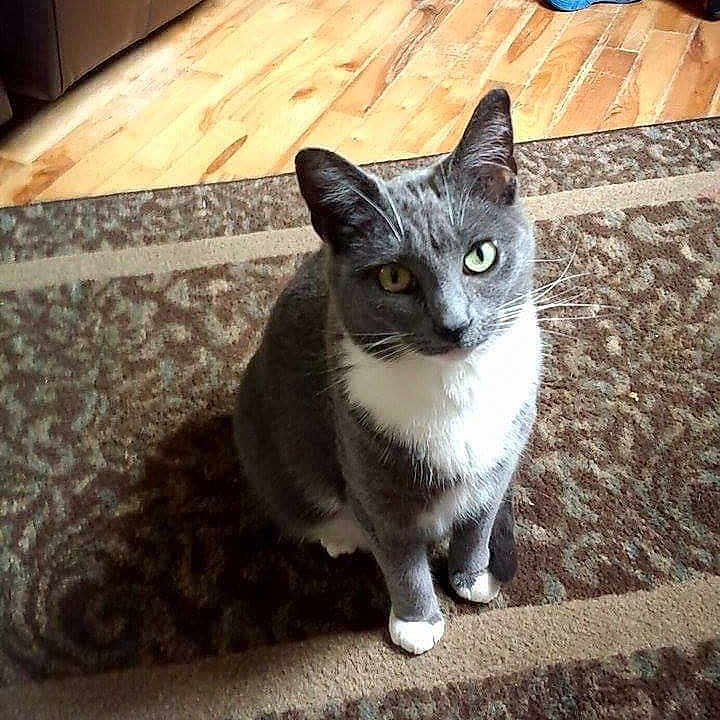 Lilly