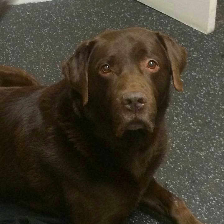 Doug