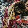 cat, fluffy, green_eyes, blanket, woven_blanket, patterned_blanket, cozy, indoor, pet, feline, resting, curious, fur, animal, close_up, texture, soft, warm, relaxed, home