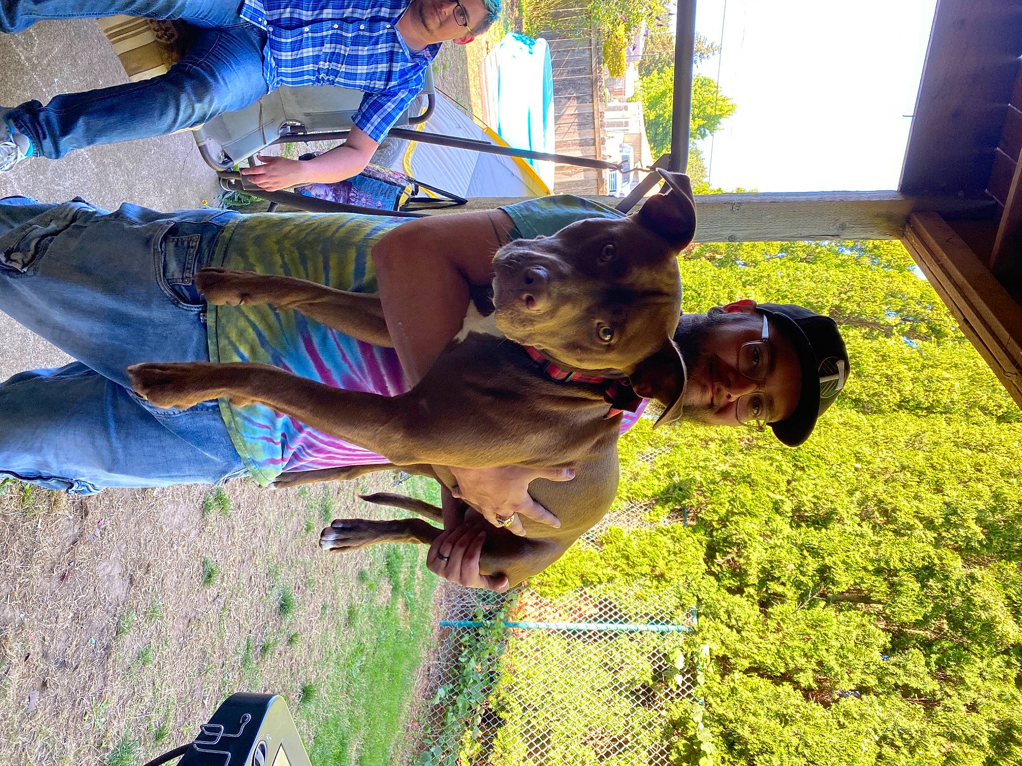 Sir Didymus joined the competition — help win amazing prizes! blue, canidae, carnivore, companion_dog, dog, dog_breed, eyewear, fawn, fun, grass, happy, hat, leisure, plant, recreation, sporting_group, sunglasses, t_shirt, tree, window