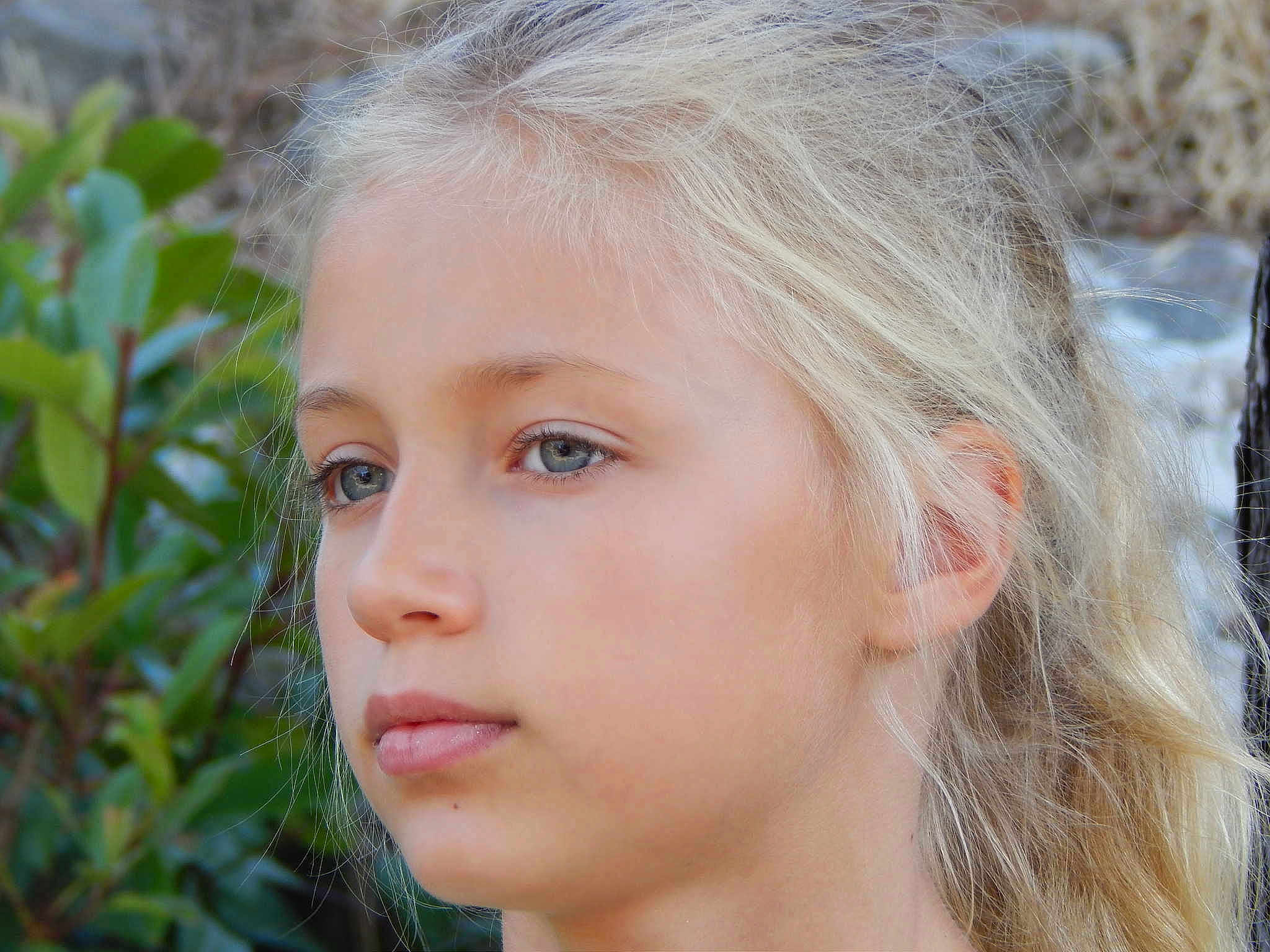 Loane