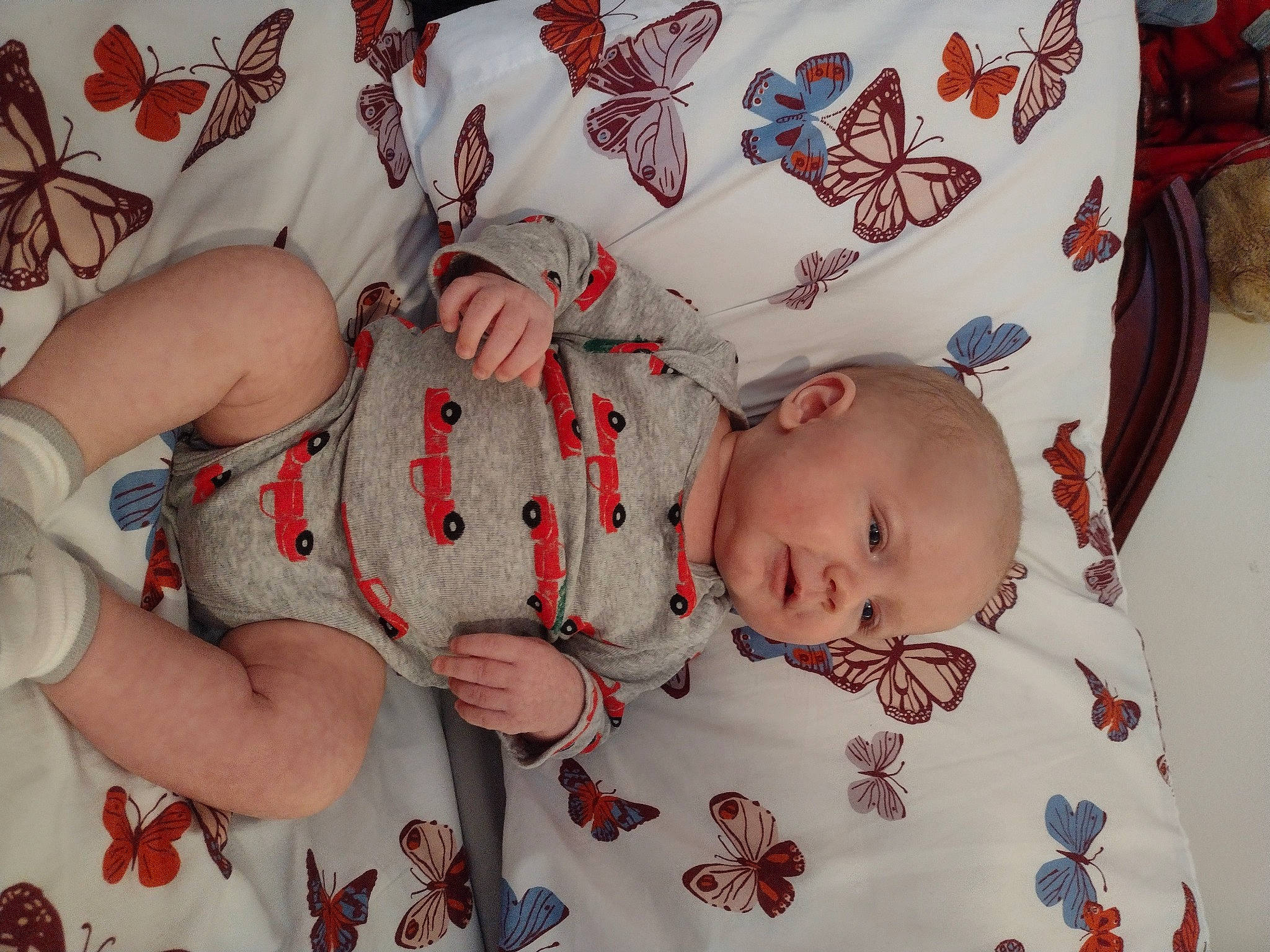 Leighton is registered to the contest to win money with this photo: arm, arthropod, baby, baby_sleeping, baby_toddler_clothing, butterfly, cheek, child, comfort, hand, human_body, linens, nail, pattern, person, pink, skin, sleeve, thigh, toddler