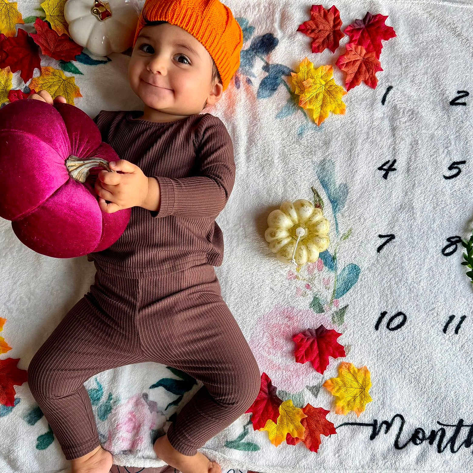 Avi participe au concours pour gagner de l'argent avec cette photo : autumn_leaves, baby, brown_clothing, child, cute, decor, face, foot, hand, indoors, lying_down, months_marker, numbers, orange_hat, plush_pumpkin, portrait, seasonal, smile, toddler, white_blanket