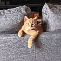 Sophie F.