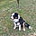 Arlo